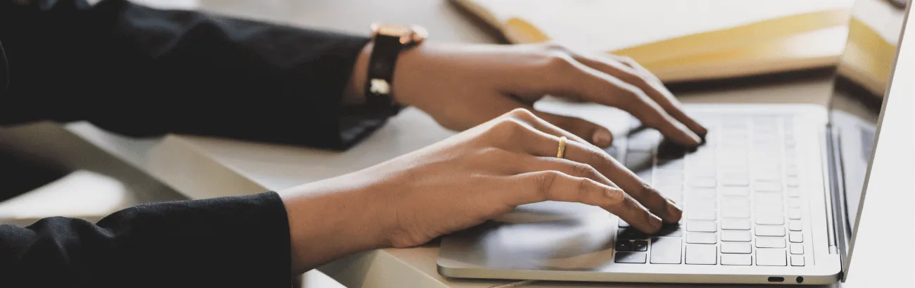 Leiloeiro MEGA LEILÕES